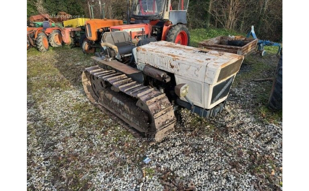 Lamborghini C 503 LL + rotary tiller + shredder + weeder Used - 3