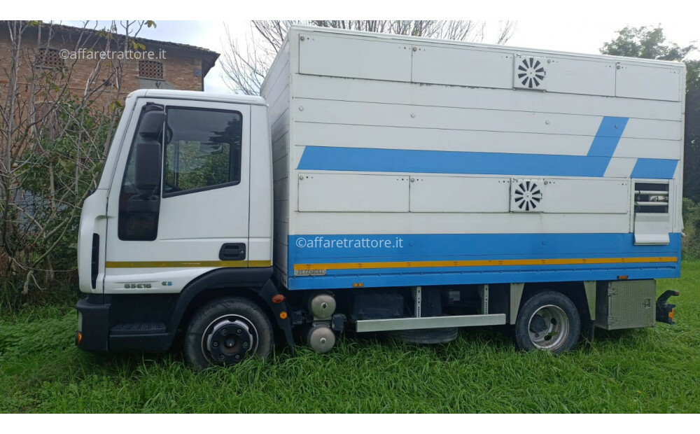 Iveco EUROCARGO 65E15 Used - 4