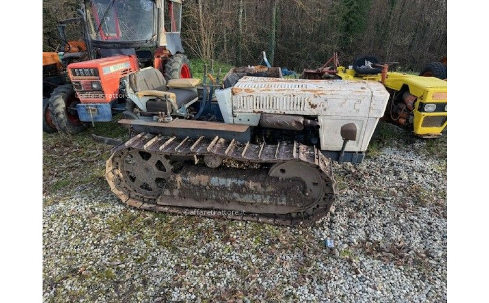 Lamborghini C 503 LL + rotary tiller + shredder + weeder Used - 2