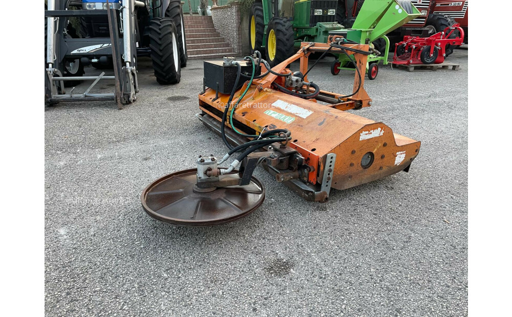 Agrimaster Trinciasarmenti con disco interfilare Used - 2