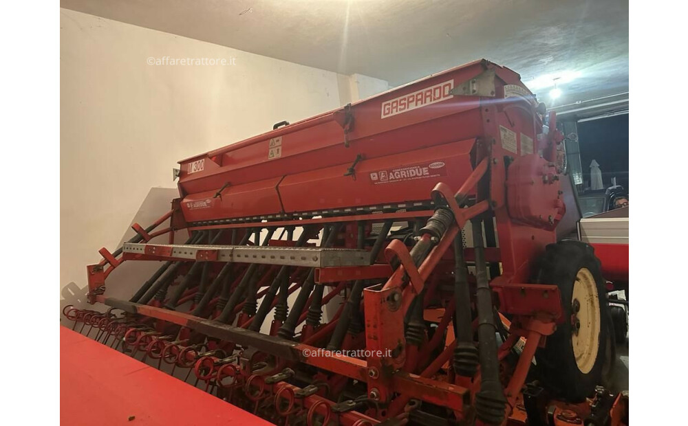 Gaspardo M300 + Maschio DM300 Used - 3