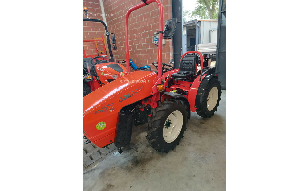 Goldoni Euro 30 RS EVO Used Agricultural Tractor - 2