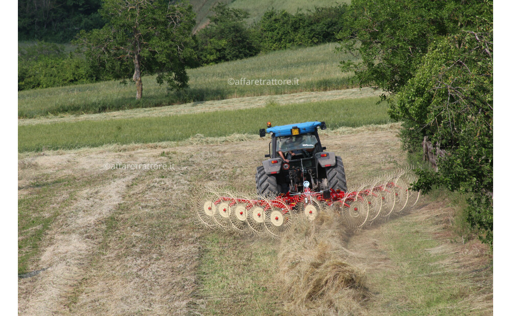 Enorossi BATRAKE 10 Ranghinatore Stellare Trainato con andana centrale - 4