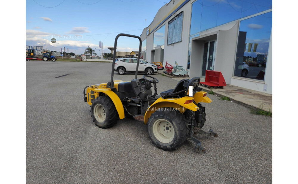 Used Tractor Pasquali 565 Ergo 7.80 - 5