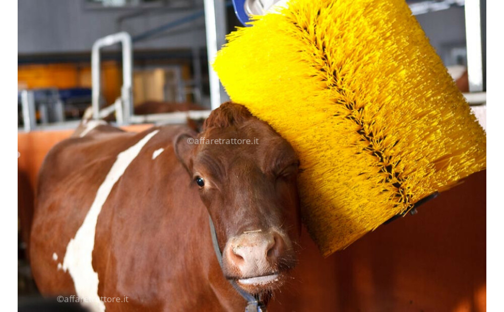 COMPATIBLE cattle brush spare parts in Delaval - 2