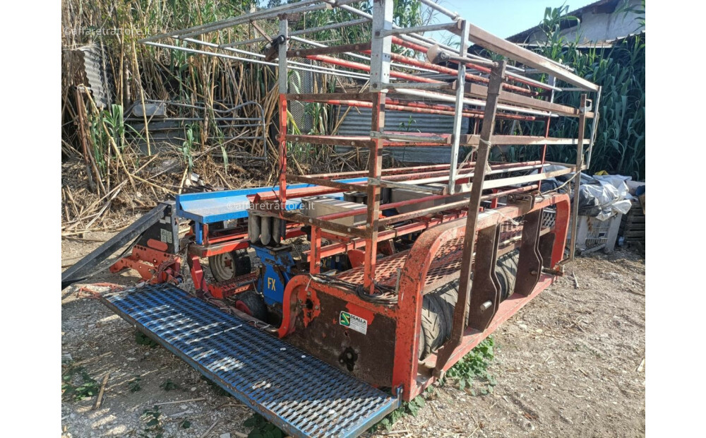 FERRARI FX 6 ROW TRANSPLANTER Used - 5