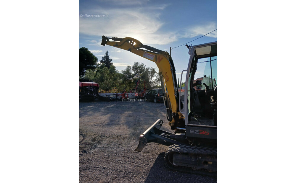 WACKER NEUSON EZ36 USED - 5