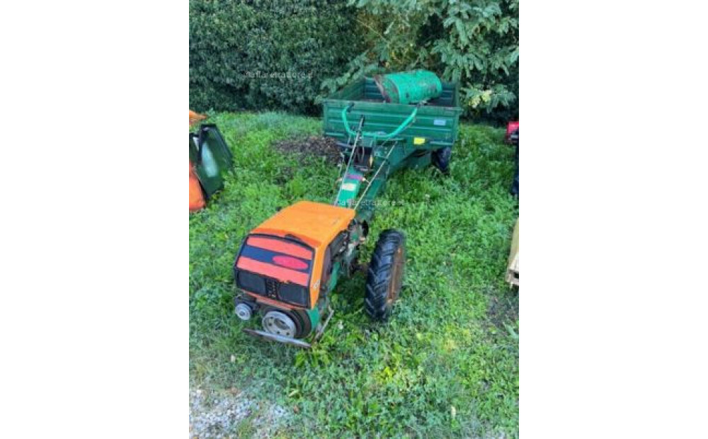 Goldoni 144 with traction trolley and hoe Used - 10