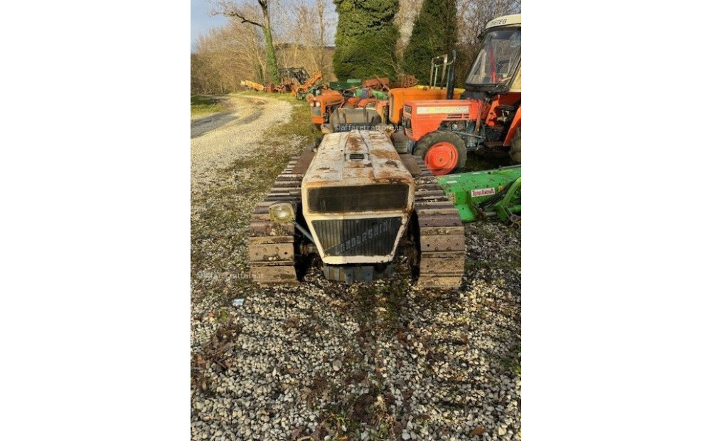 Lamborghini C 503 LL + rotary tiller + shredder + weeder Used - 4