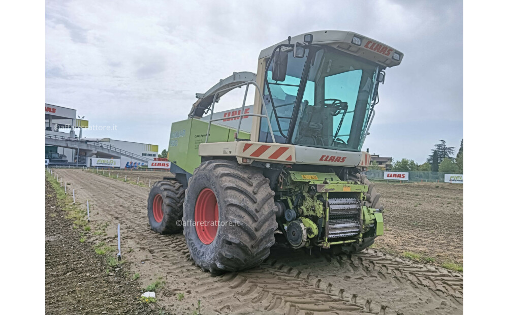 Claas JAGUAR 900 Used - 4