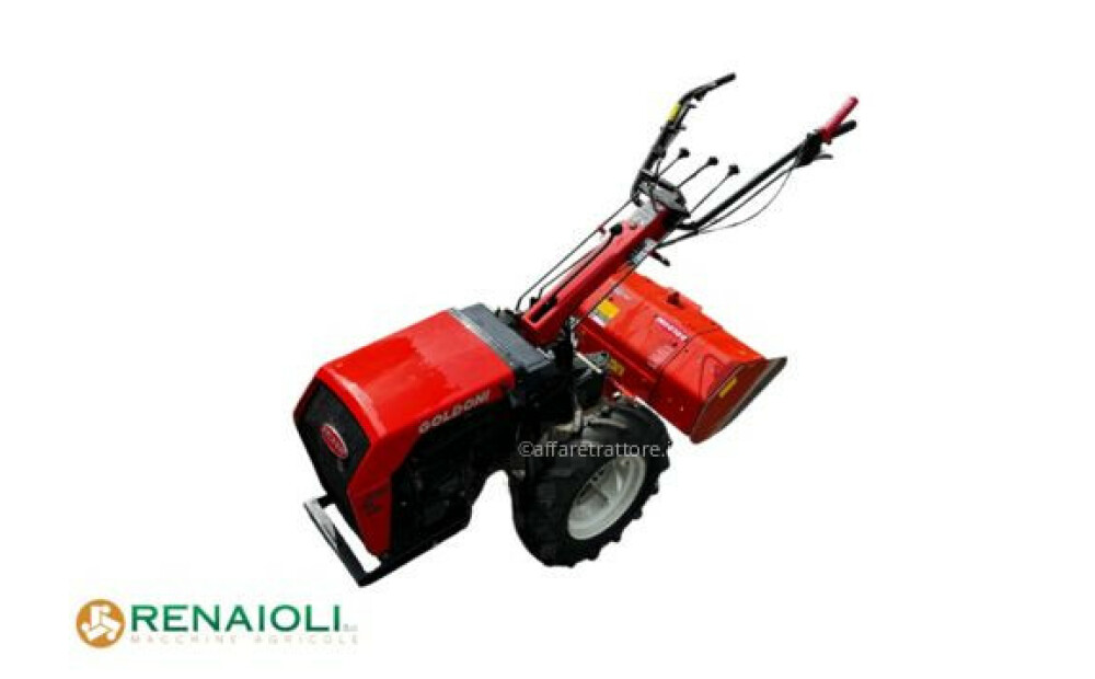 goldoni MOTOR CULTIVATOR SPECIAL LUX 150 + ACCESSORIES GOLDONI (CB10989) 2008 Used - 3