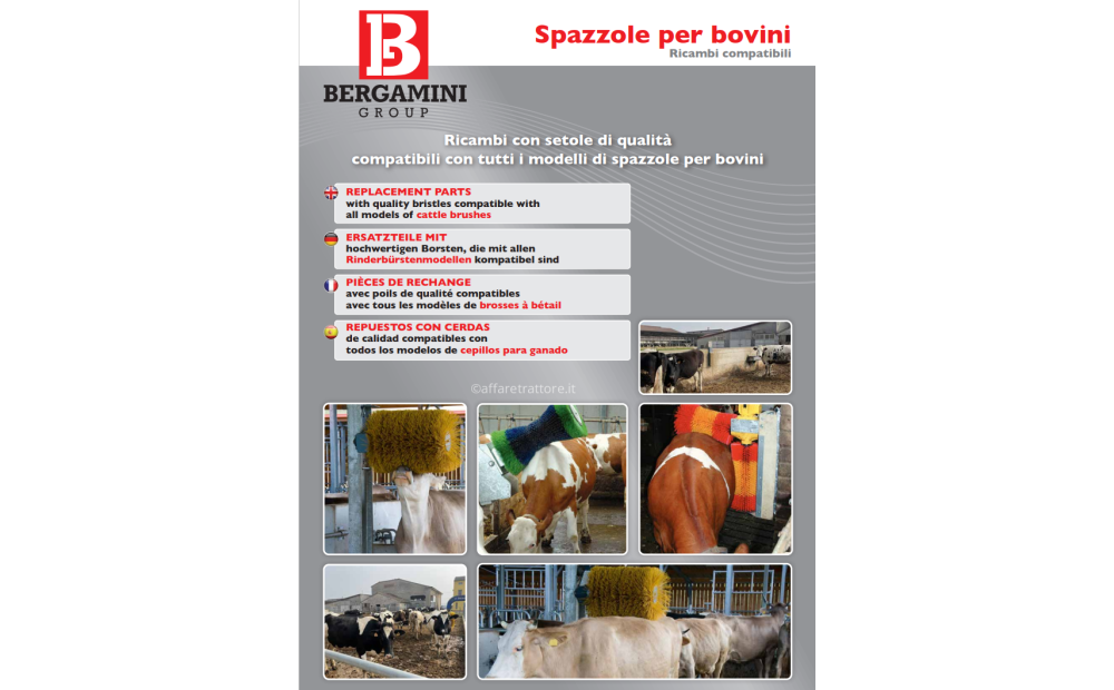 Cattle brushes COMPATIBLE WITH SUEVIA PROFI-SWING - 2