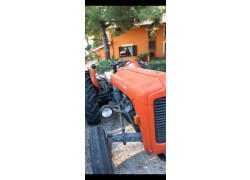 Massey Ferguson 135 New